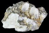 Calcite, Pyrite and Fluorite Association - Fluorescent #90232-1